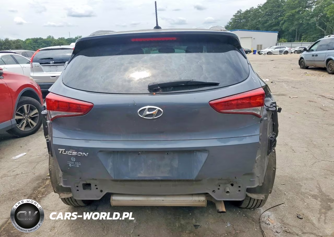 2017 Hyundai Tucson Se VIN:KM8J33A46HU416312 - 6