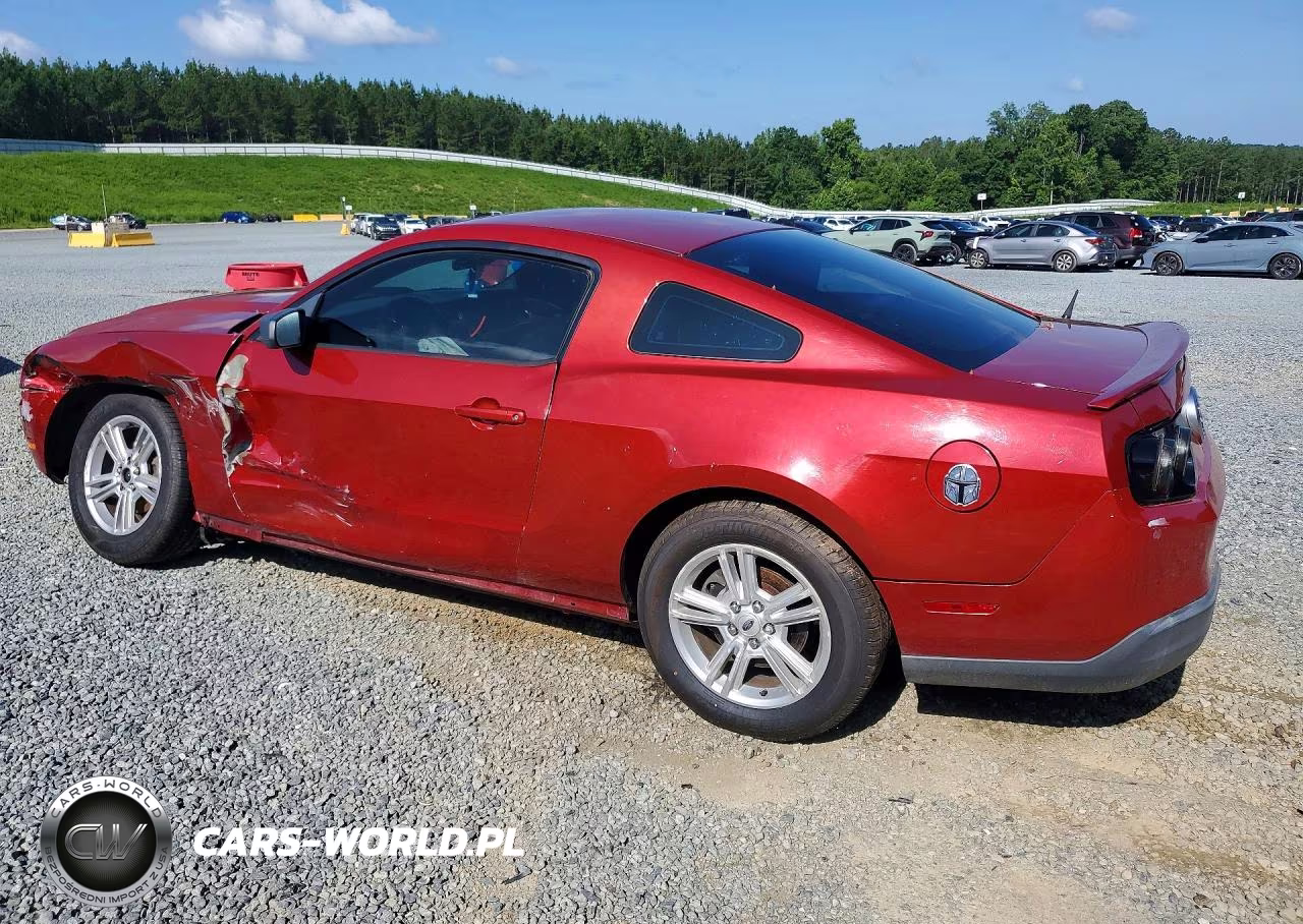 2010 Ford Mustang VIN:1ZVBP8ANXA5126963 - 2