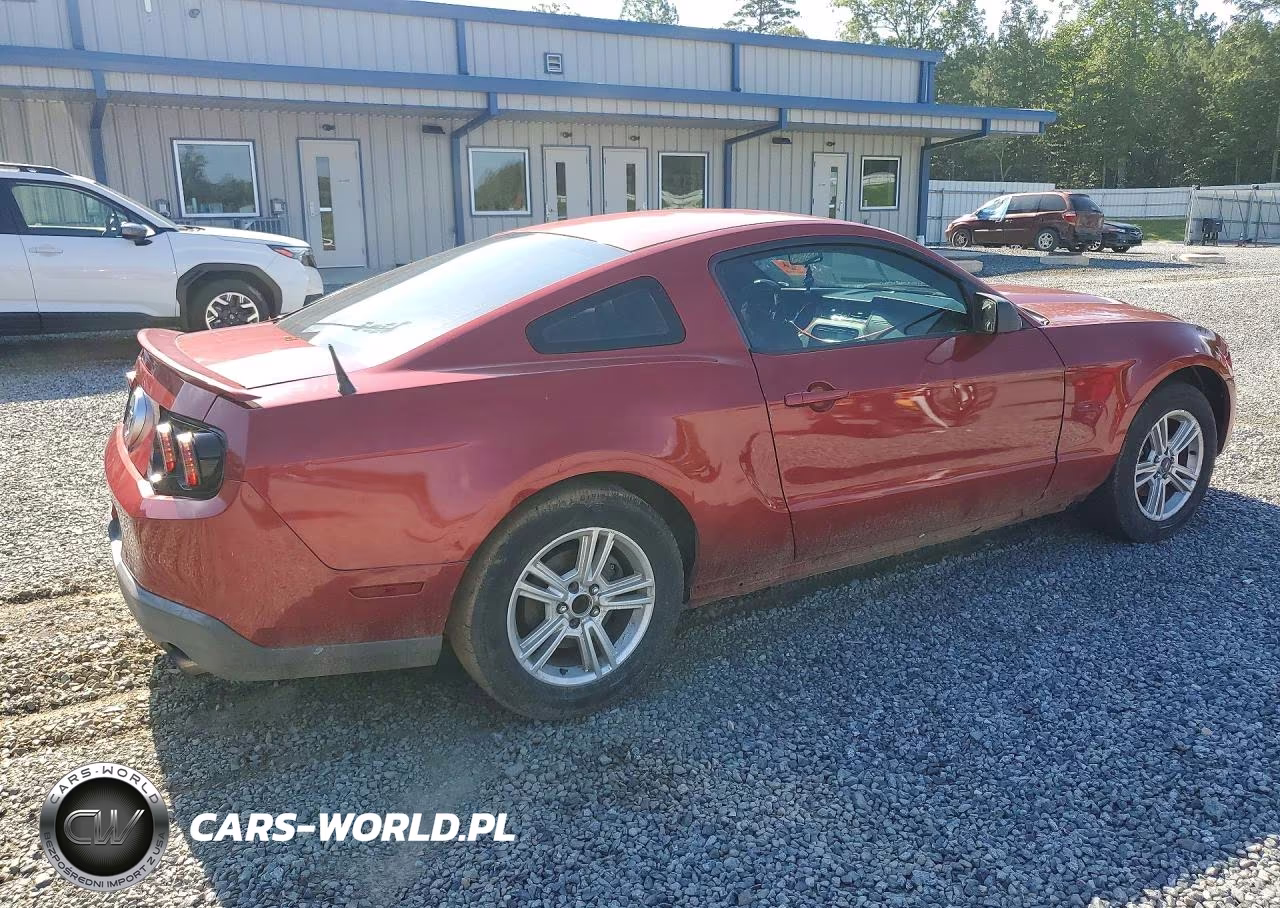 2010 Ford Mustang VIN:1ZVBP8ANXA5126963 - 3