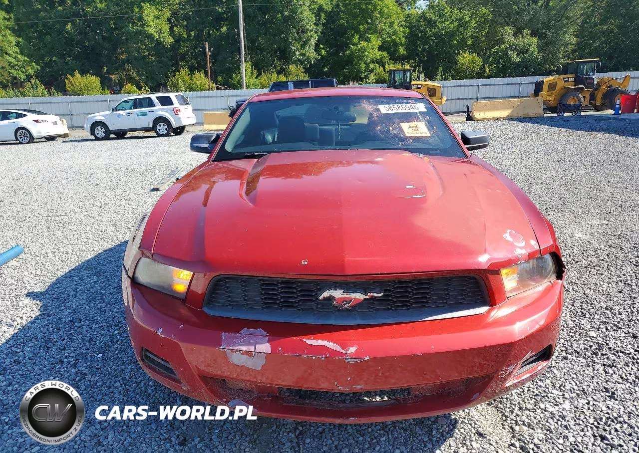 2010 Ford Mustang VIN:1ZVBP8ANXA5126963 - 5