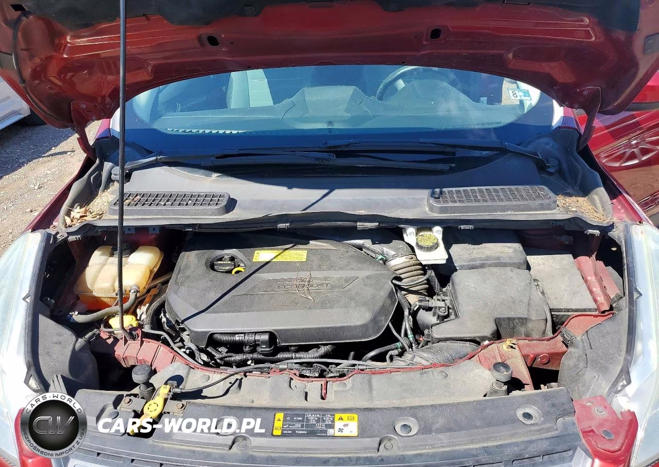 2013 Ford Escape Se VIN:1FMCU0GX7DUD49686 - 12