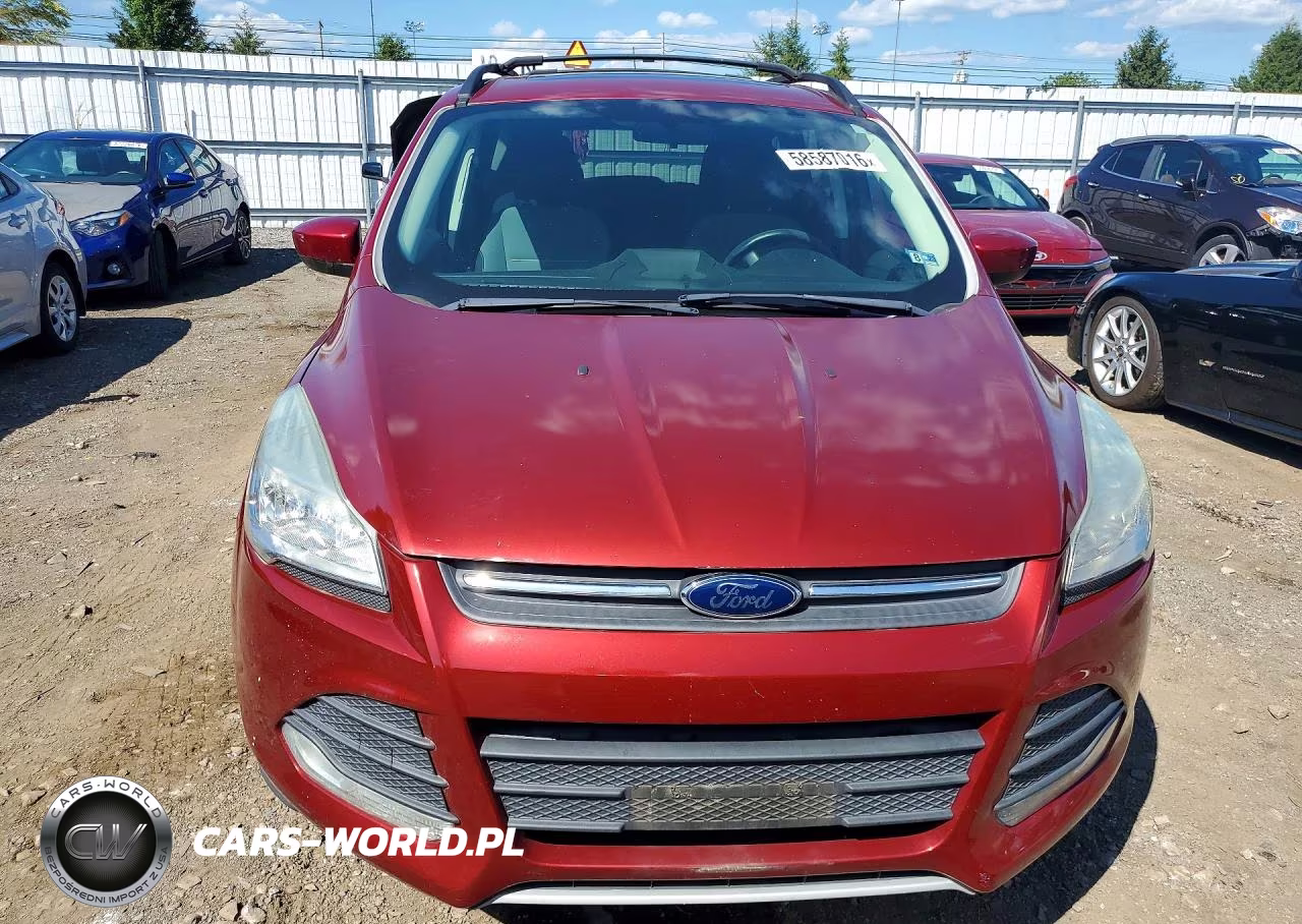 2013 Ford Escape Se VIN:1FMCU0GX7DUD49686 - 5
