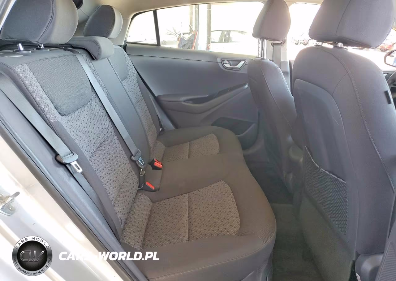 2017 Hyundai Ioniq Blue VIN:KMHC65LCXHU049866 - 10