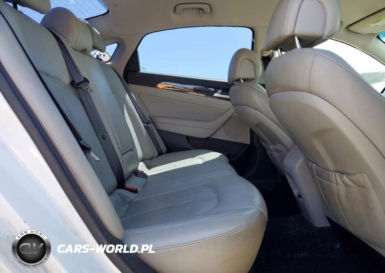 2015 Hyundai Sonata Eco VIN:5NPE24AA3FH130381 - 10