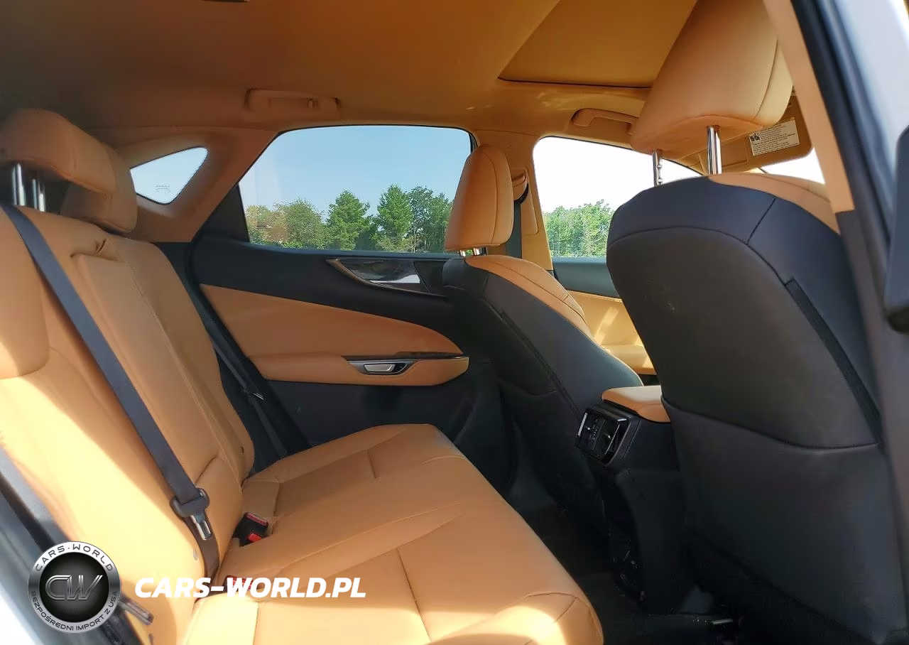 2024 Lexus Nx 350H Premium VIN:2T2GKCEZ4RC021014 - 11