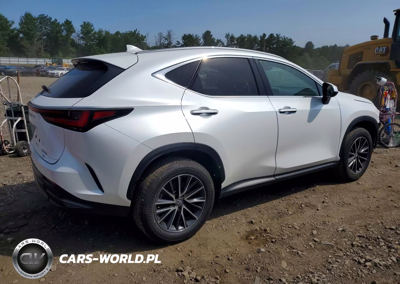 2024 Lexus Nx 350H Premium VIN:2T2GKCEZ4RC021014 - 3