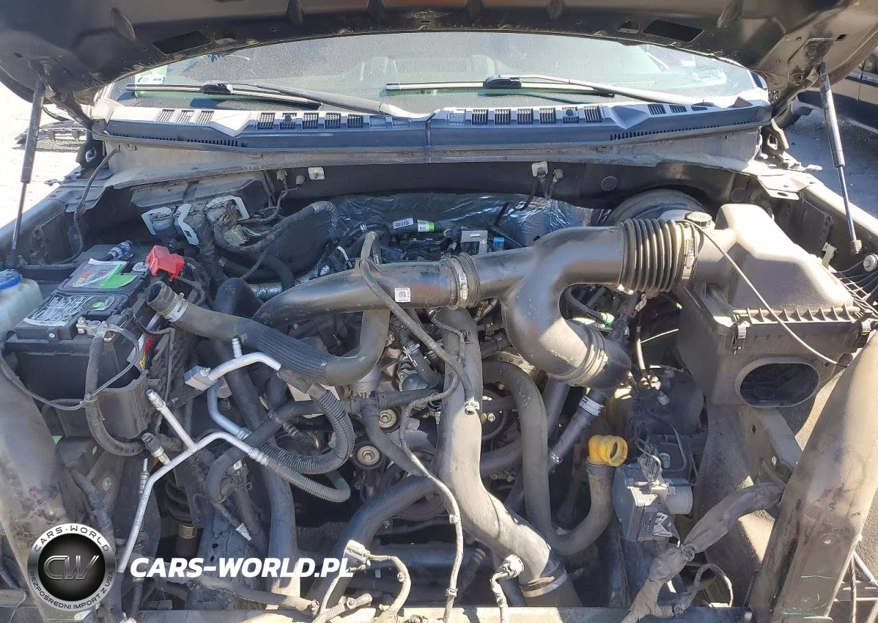 2019 Ford F150 Supercrew VIN:1FTEW1CP9KKC78132 - 11