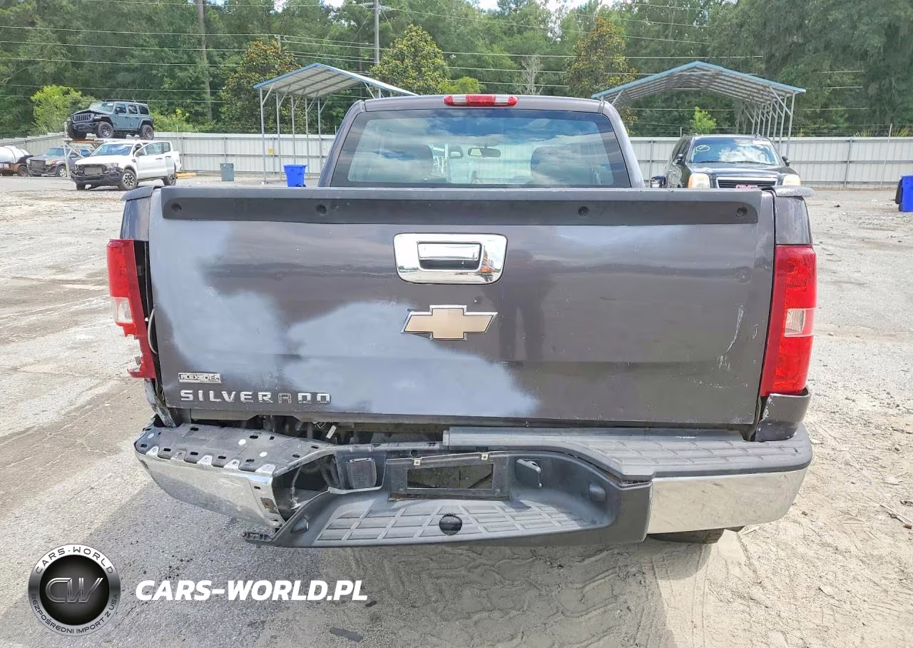 2010 Chevrolet Silverado C1500 VIN:1GCSCPEA4AZ254608 - 6