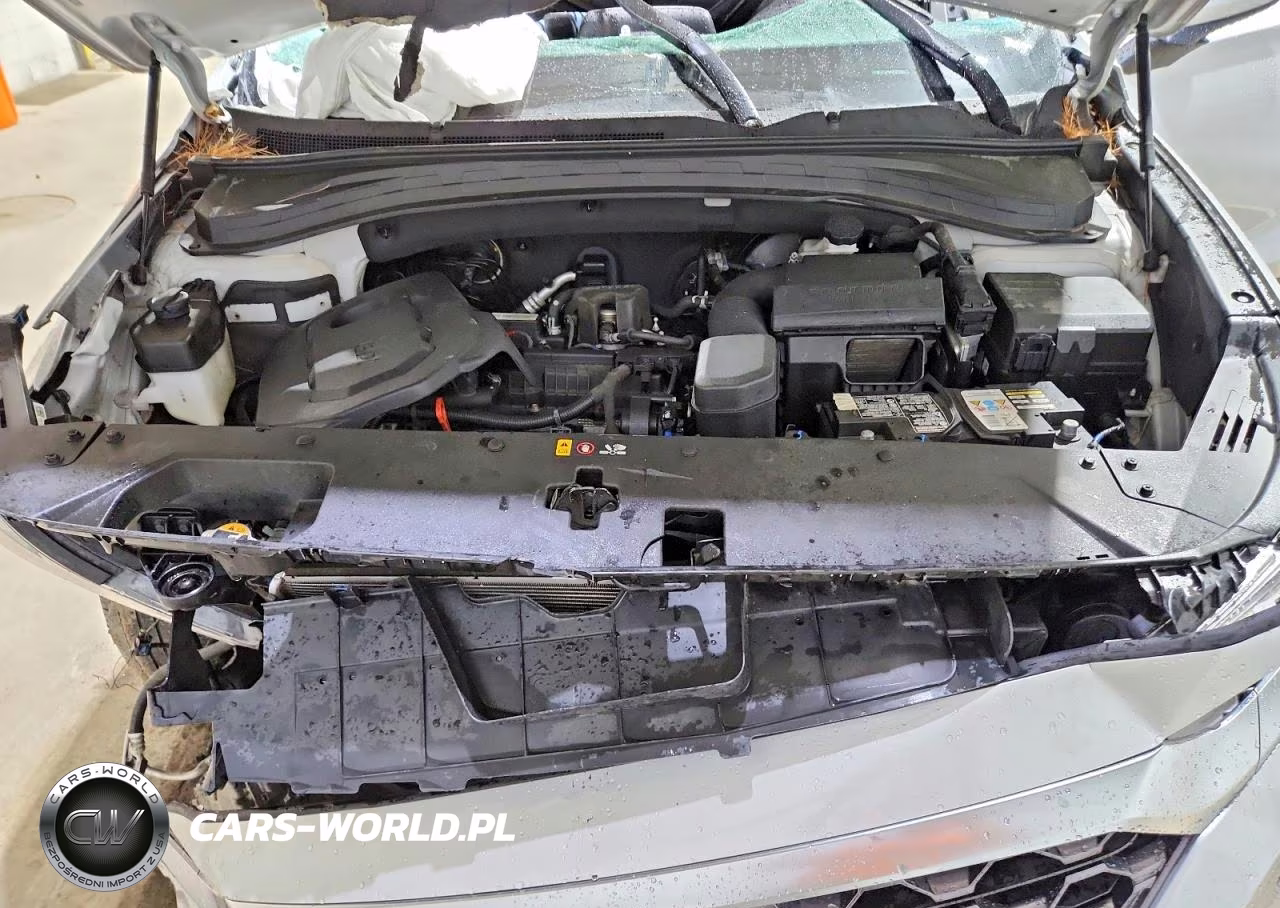 2019 Hyundai Santa Fe Se VIN:5NMS2CAD4KH093694 - 12