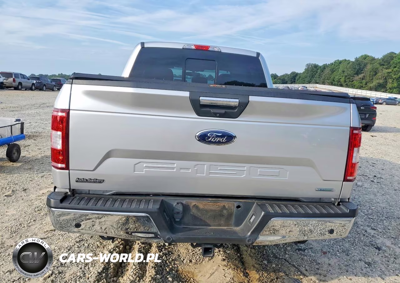 2019 Ford F150 Supercrew VIN:1FTEW1CP5KFA51383 - 6