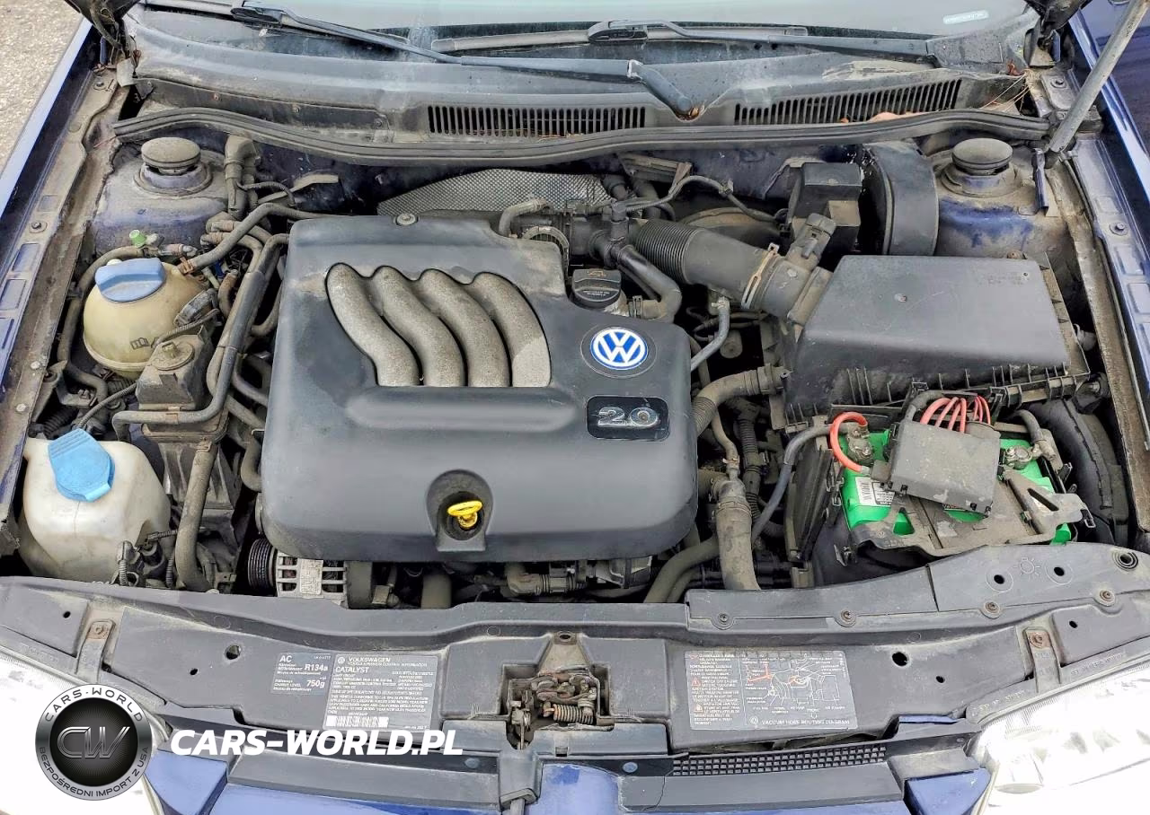 2002 Volkswagen Jetta Gl VIN:WVWRK61J52W121344 - 11