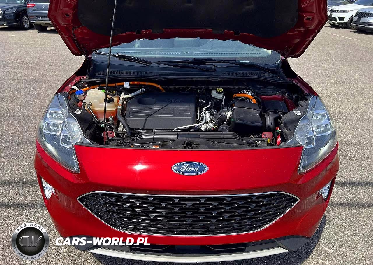 2020 Ford Escape Titanium VIN:1FMCU0DZXLUA46311 - 8