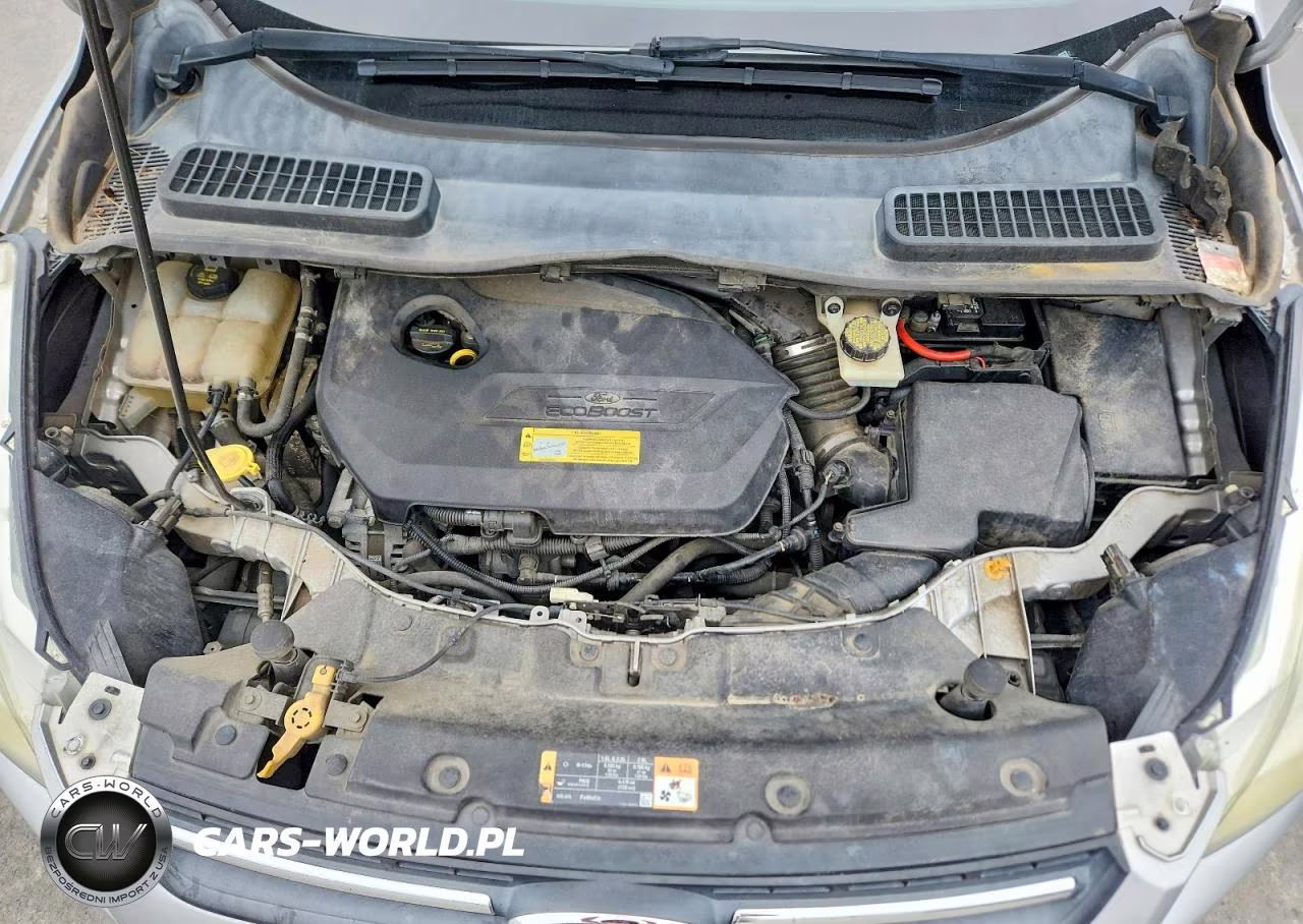 2014 Ford Escape Se VIN:1FMCU0GXXEUD03108 - 11
