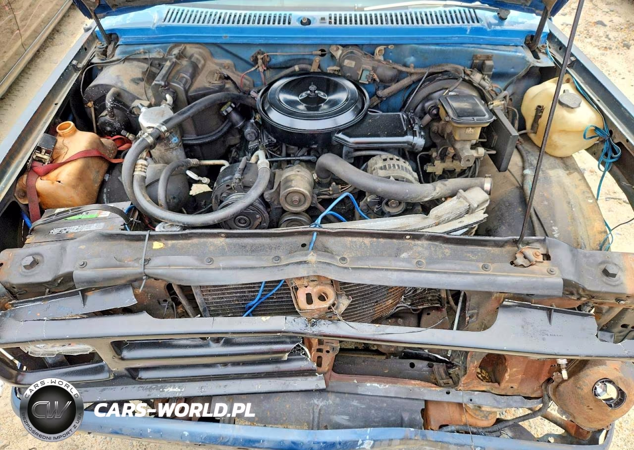 CHEVROLET S TRUCK S1 VIN:1GCCS19Z6P0106798 - 11