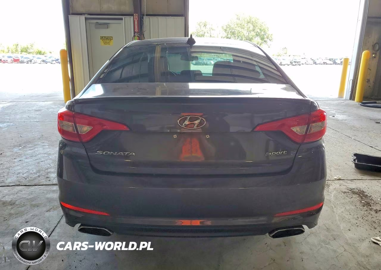 2016 Hyundai Sonata Sport VIN:5NPE34AF6GH328866 - 6