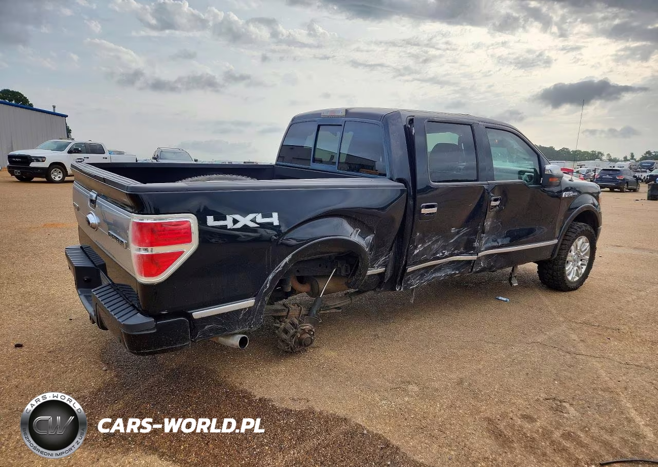 2009 Ford F150 Supercrew VIN:1FTPW14VX9FA74903 - 3