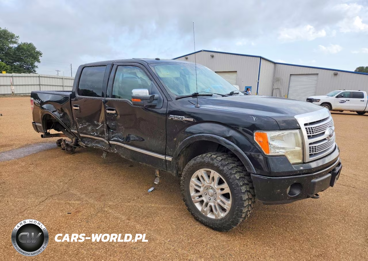 2009 Ford F150 Supercrew VIN:1FTPW14VX9FA74903 - 4