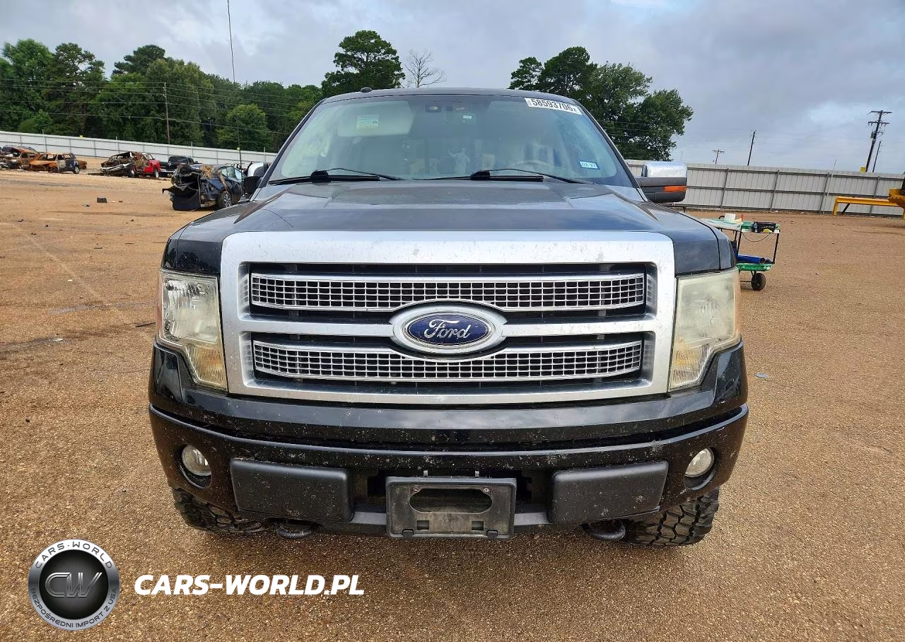 2009 Ford F150 Supercrew VIN:1FTPW14VX9FA74903 - 5