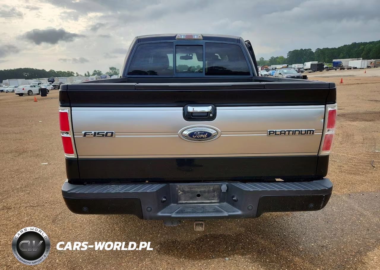 2009 Ford F150 Supercrew VIN:1FTPW14VX9FA74903 - 6