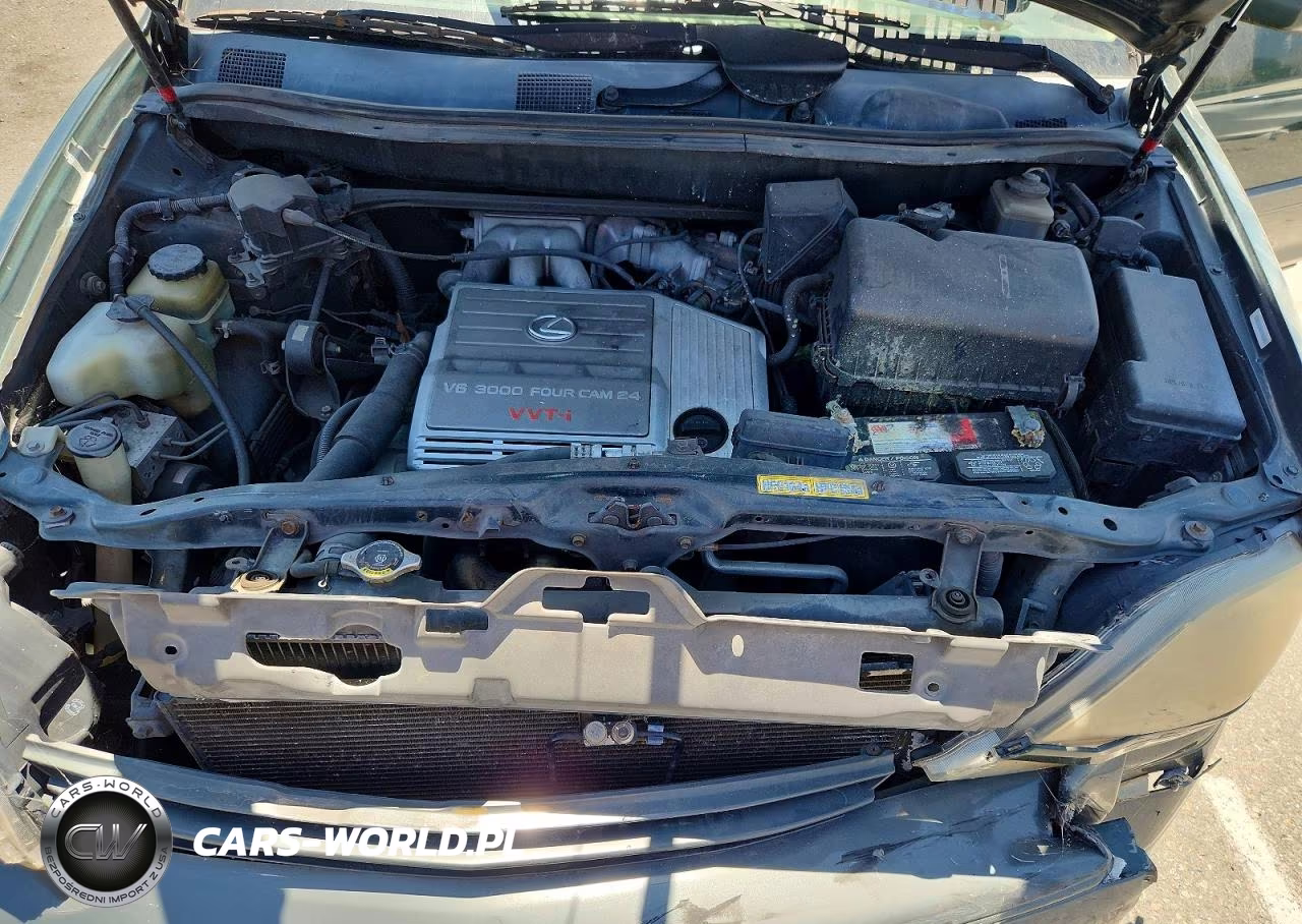 2000 Lexus Rx 300 VIN:JT6GF10U4Y0056287 - 11