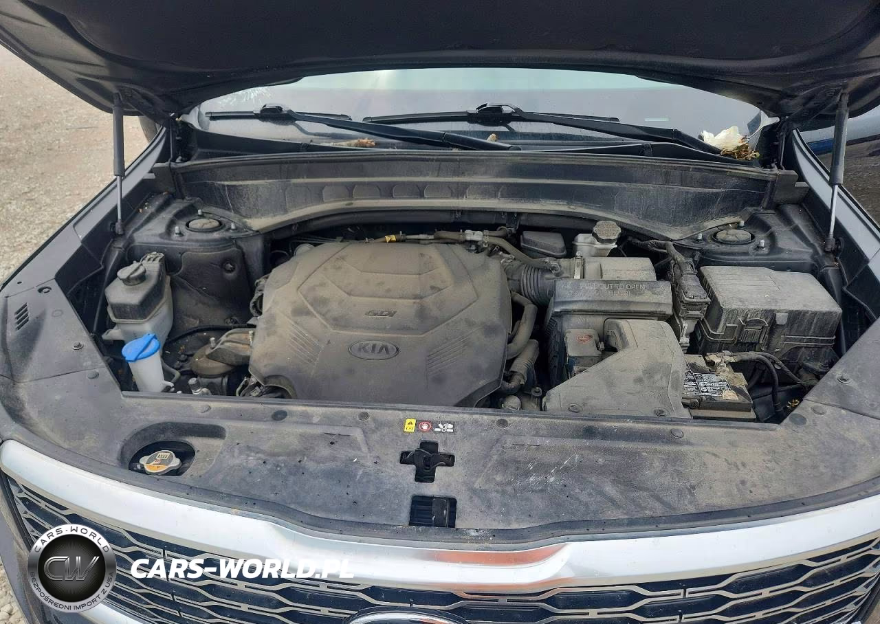 2020 Kia Telluride S VIN:5XYP6DHC2LG004309 - 12