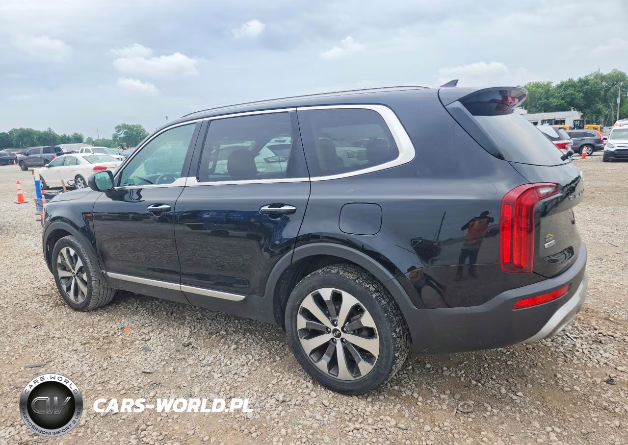 2020 Kia Telluride S VIN:5XYP6DHC2LG004309 - 2