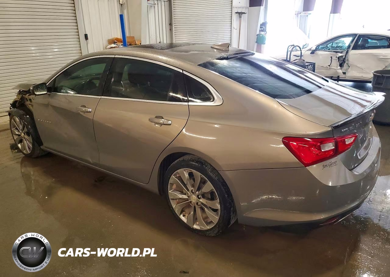 2018 Chevrolet Malibu Premier VIN:1G1ZE5SX6JF195867 - 2