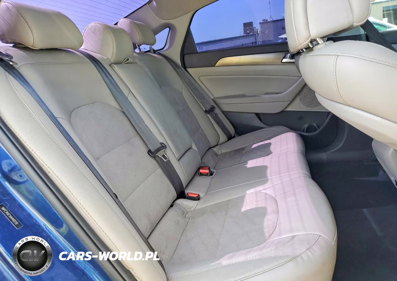 2017 Hyundai Sonata Sport VIN:5NPE34AF1HH440119 - 10