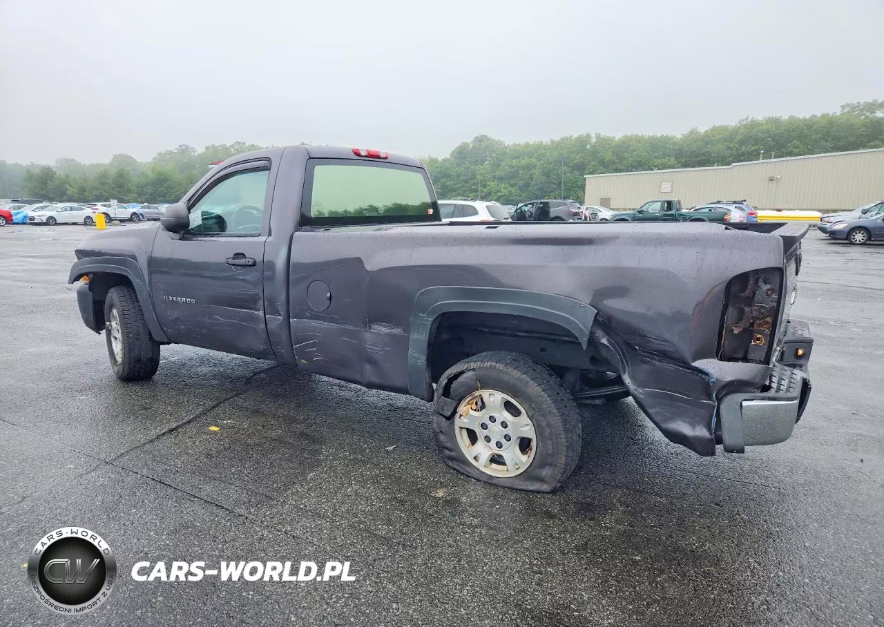 2011 Chevrolet Silverado C1500 VIN:1GCNCPEX9BZ108370 - 2