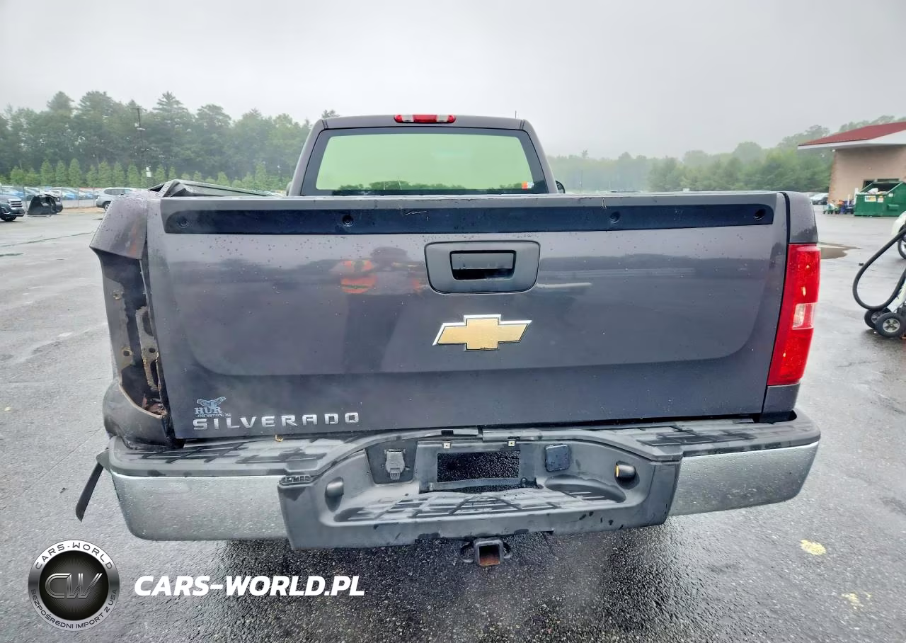 2011 Chevrolet Silverado C1500 VIN:1GCNCPEX9BZ108370 - 6