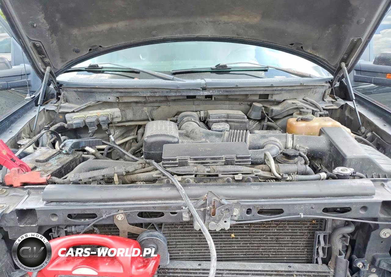 2010 Ford F150 Supercrew VIN:1FTFW1EV5AFB48629 - 11