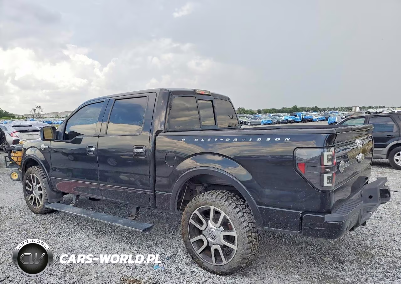 2010 Ford F150 Supercrew VIN:1FTFW1EV5AFB48629 - 2