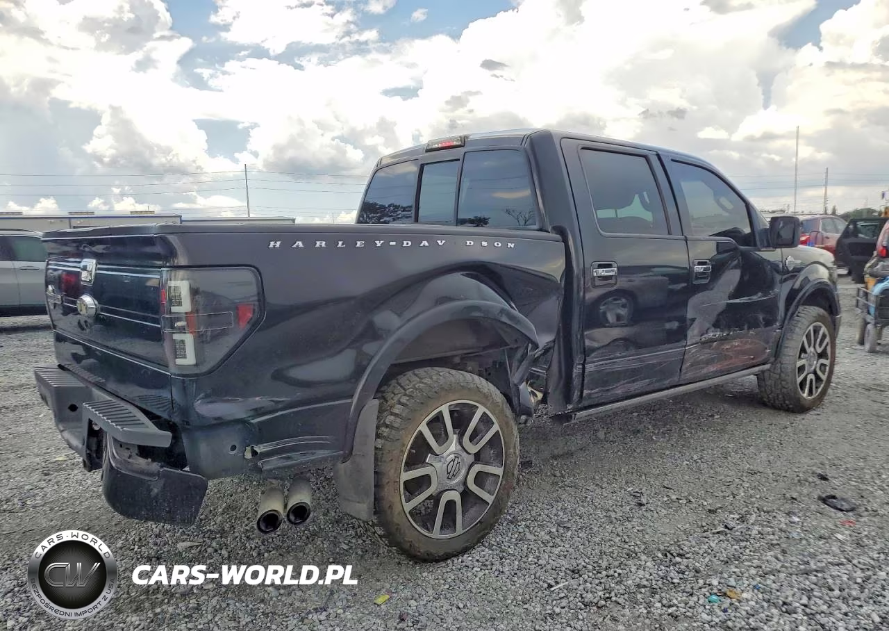 2010 Ford F150 Supercrew VIN:1FTFW1EV5AFB48629 - 3