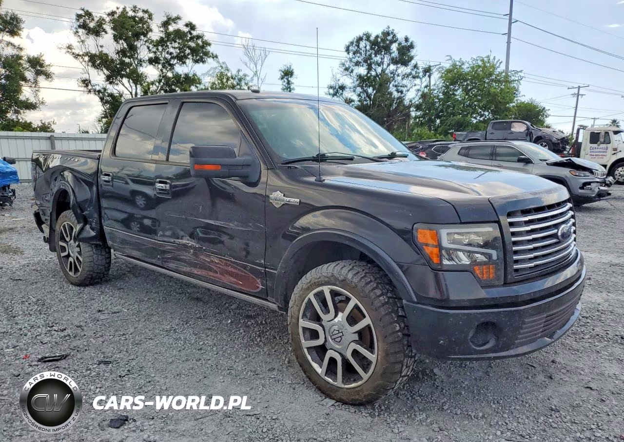 2010 Ford F150 Supercrew VIN:1FTFW1EV5AFB48629 - 4