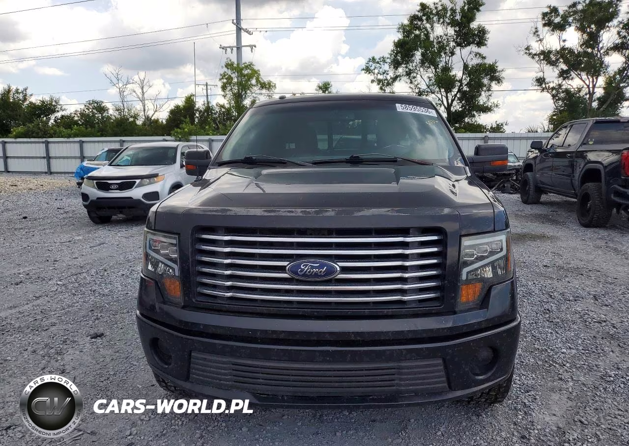 2010 Ford F150 Supercrew VIN:1FTFW1EV5AFB48629 - 5