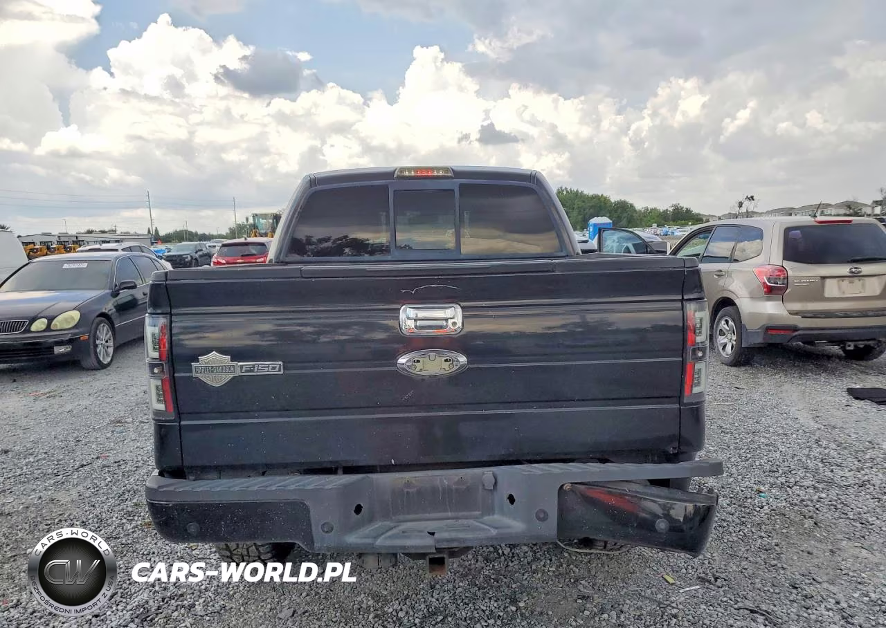 2010 Ford F150 Supercrew VIN:1FTFW1EV5AFB48629 - 6