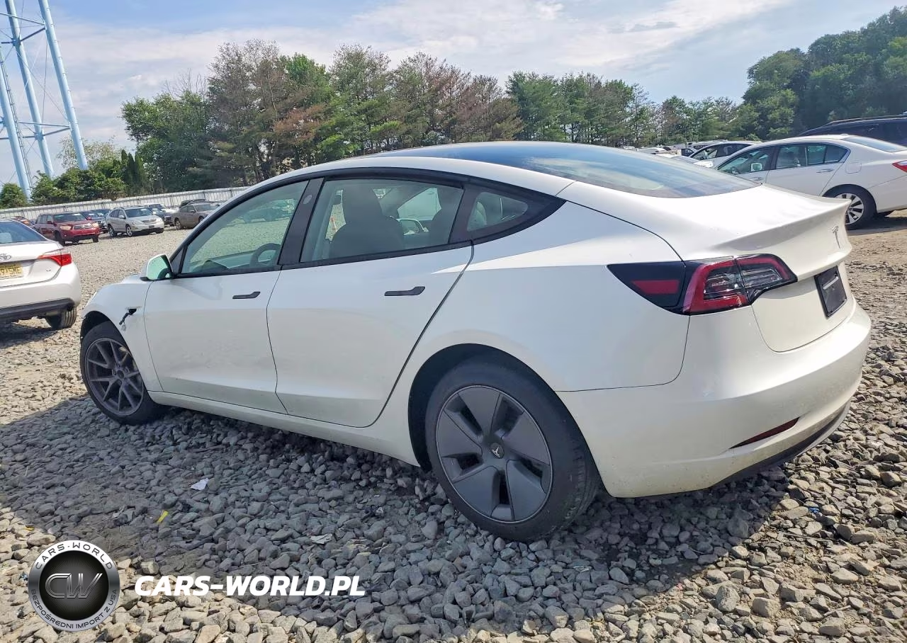 2023 Tesla Model 3 VIN:5YJ3E1EA7PF478983 - 2