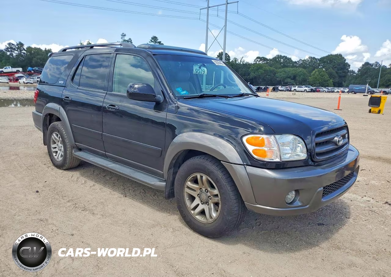 2004 Toyota Sequoia Sr5 VIN:5TDZT34A94S223028 - 4