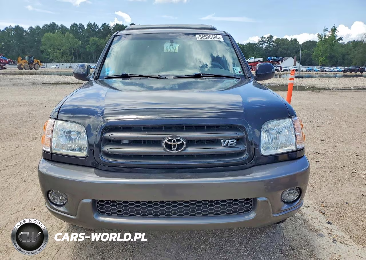 2004 Toyota Sequoia Sr5 VIN:5TDZT34A94S223028 - 5