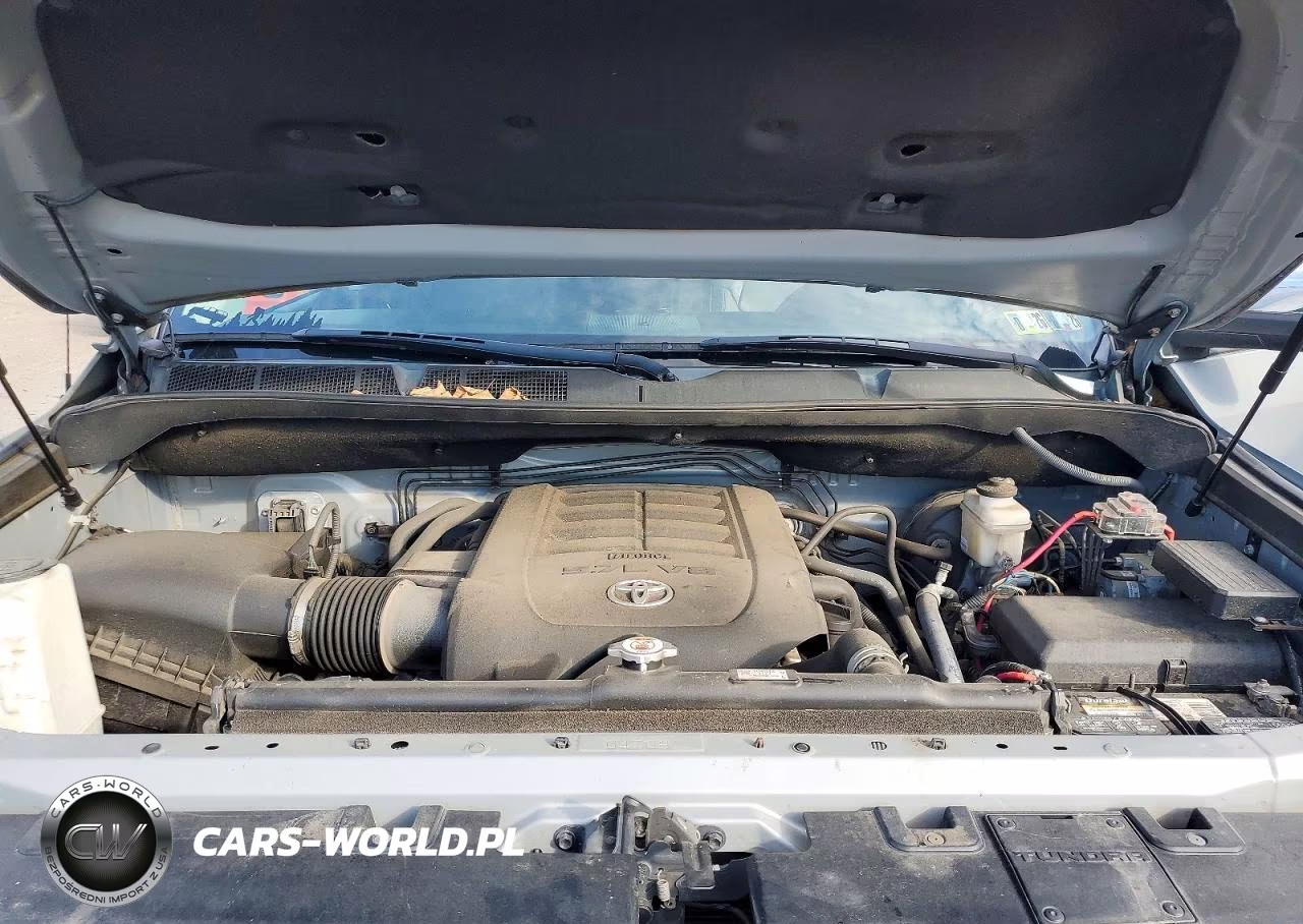 2019 Toyota Tundra Crewmax Limited VIN:5TFHY5F11KX799662 - 11