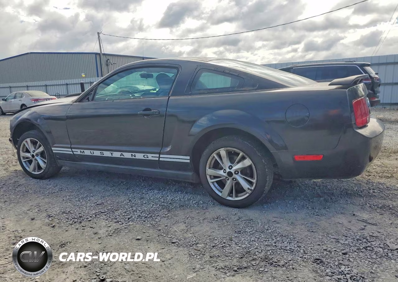 2006 Ford Mustang VIN:1ZVFT80N965101459 - 2