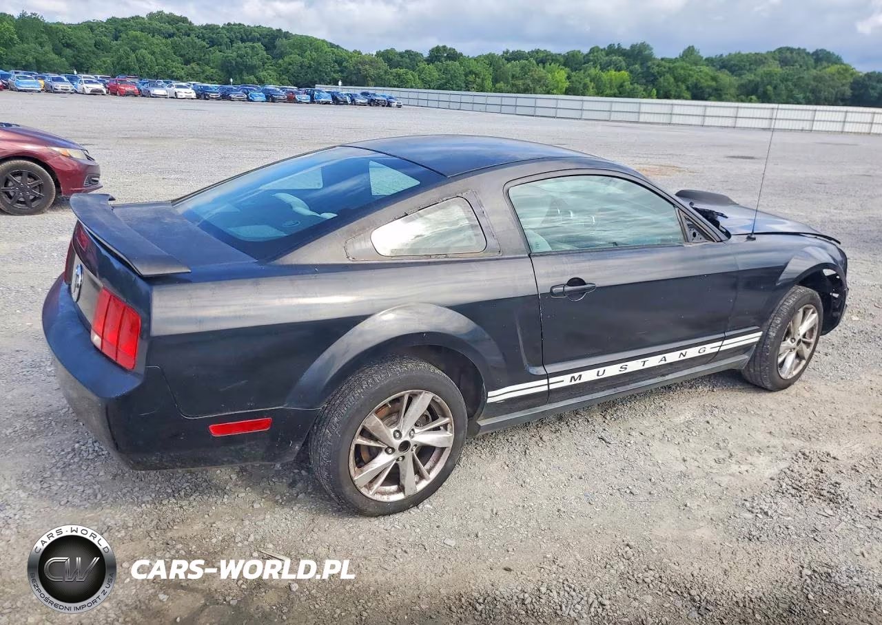 2006 Ford Mustang VIN:1ZVFT80N965101459 - 3