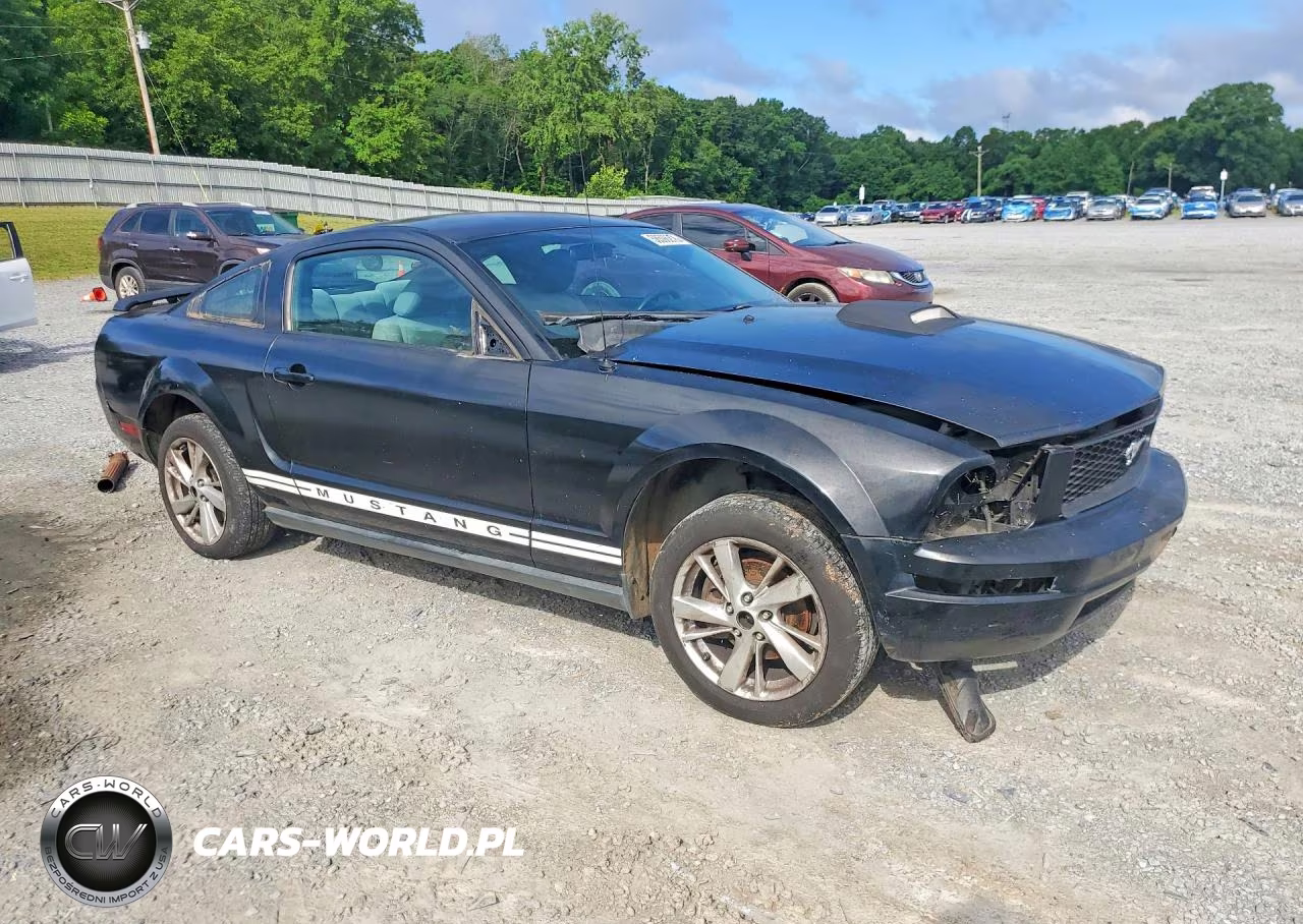 2006 Ford Mustang VIN:1ZVFT80N965101459 - 4