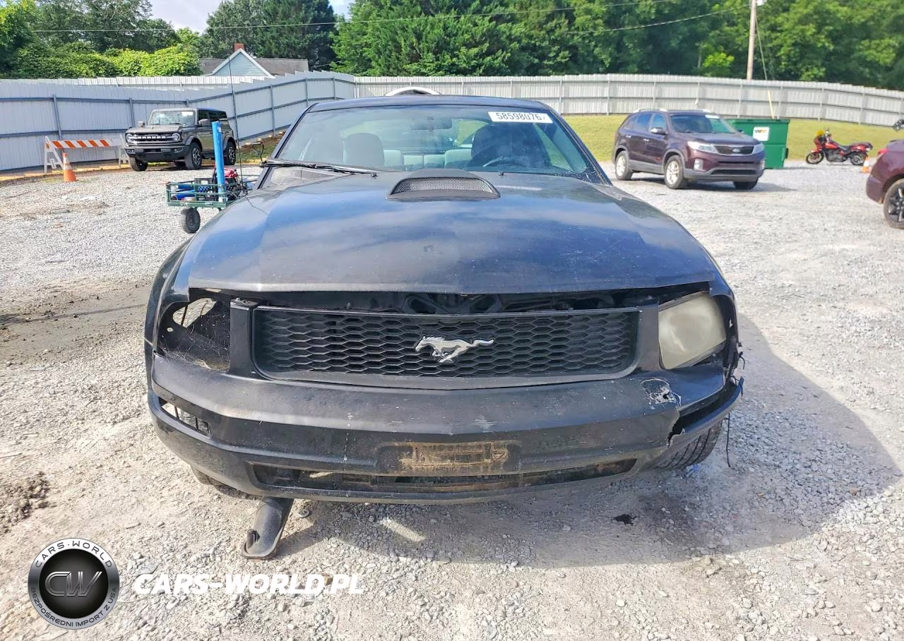 2006 Ford Mustang VIN:1ZVFT80N965101459 - 5