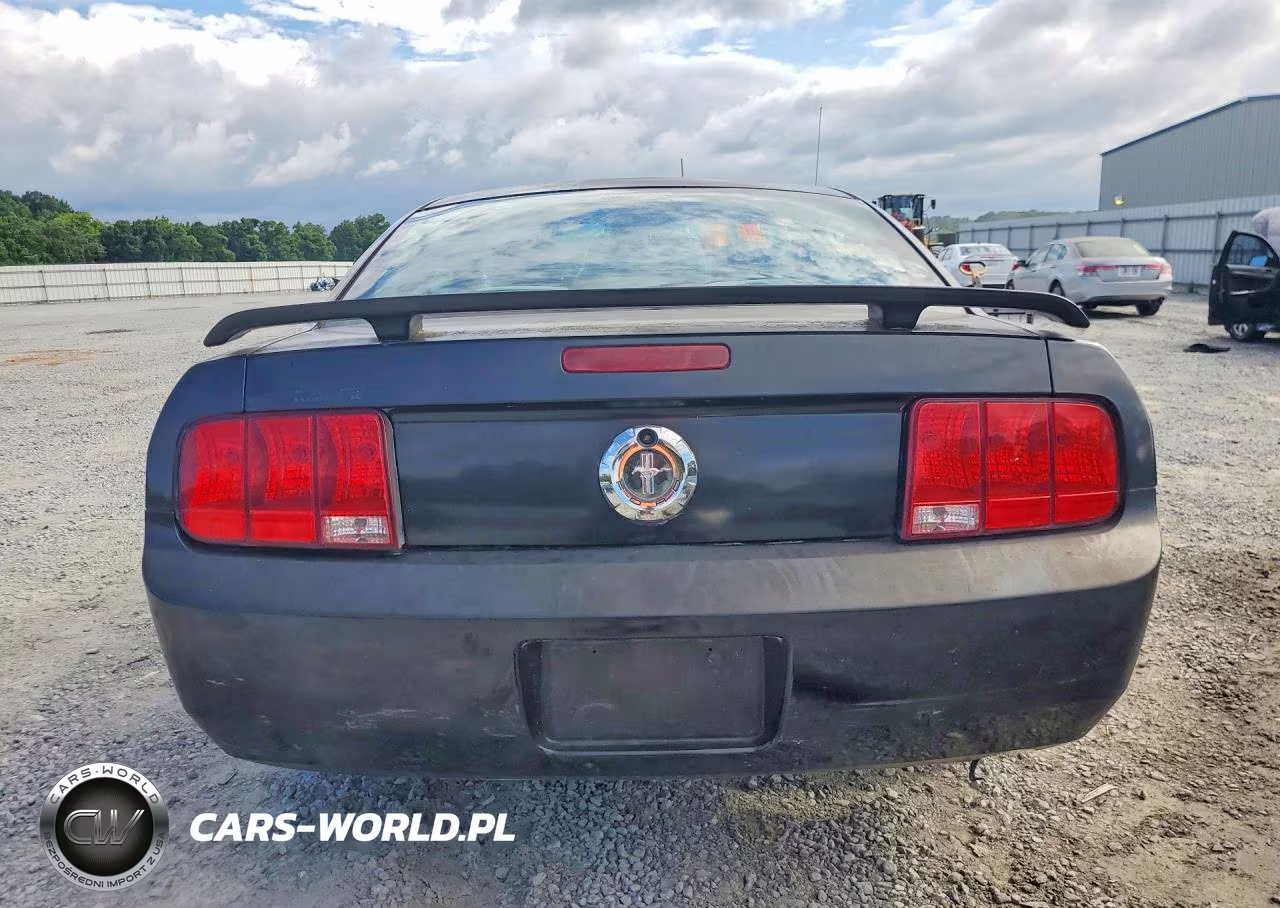 2006 Ford Mustang VIN:1ZVFT80N965101459 - 6