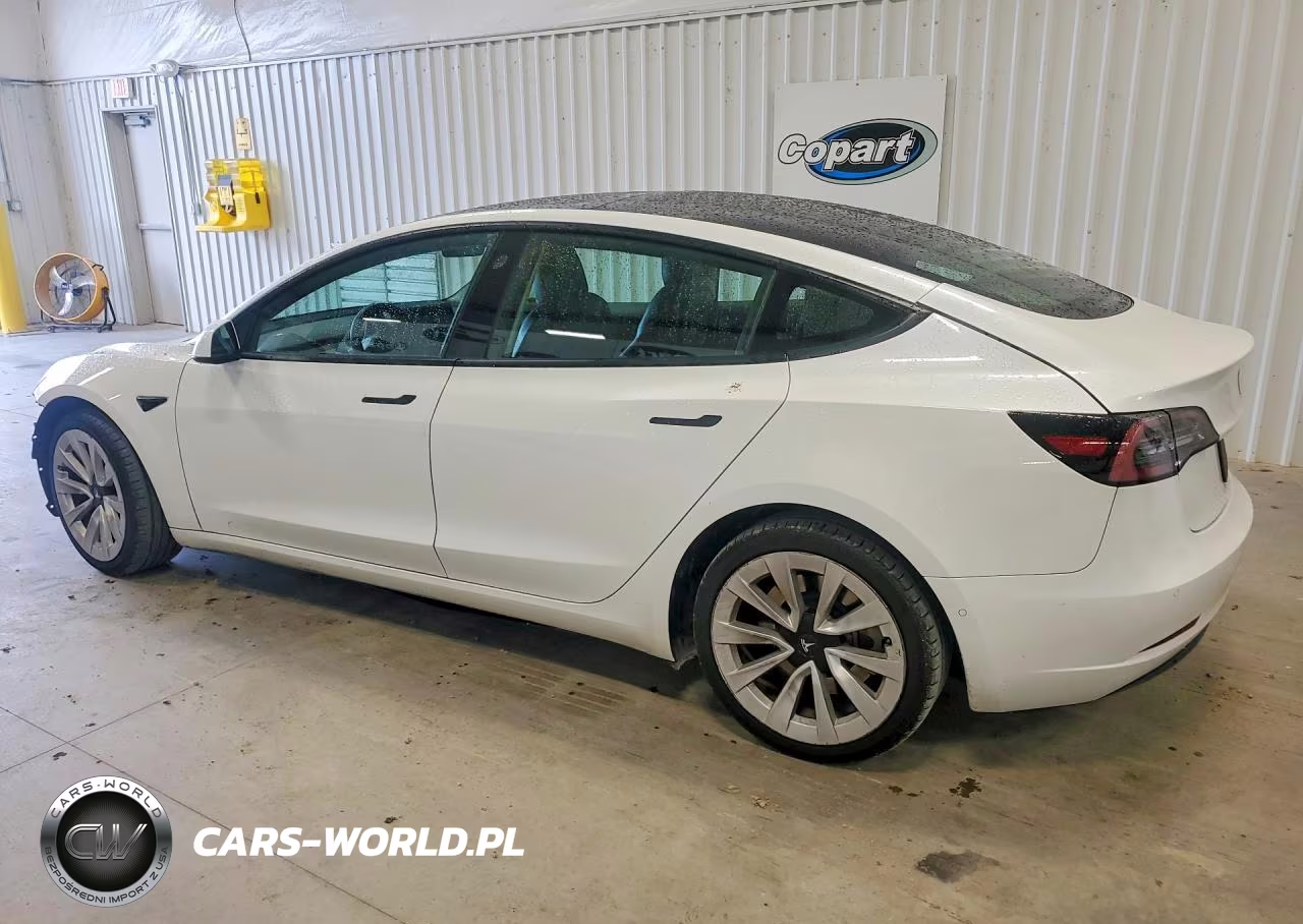 2022 Tesla Model 3 VIN:5YJ3E1EA1NF289873 - 2