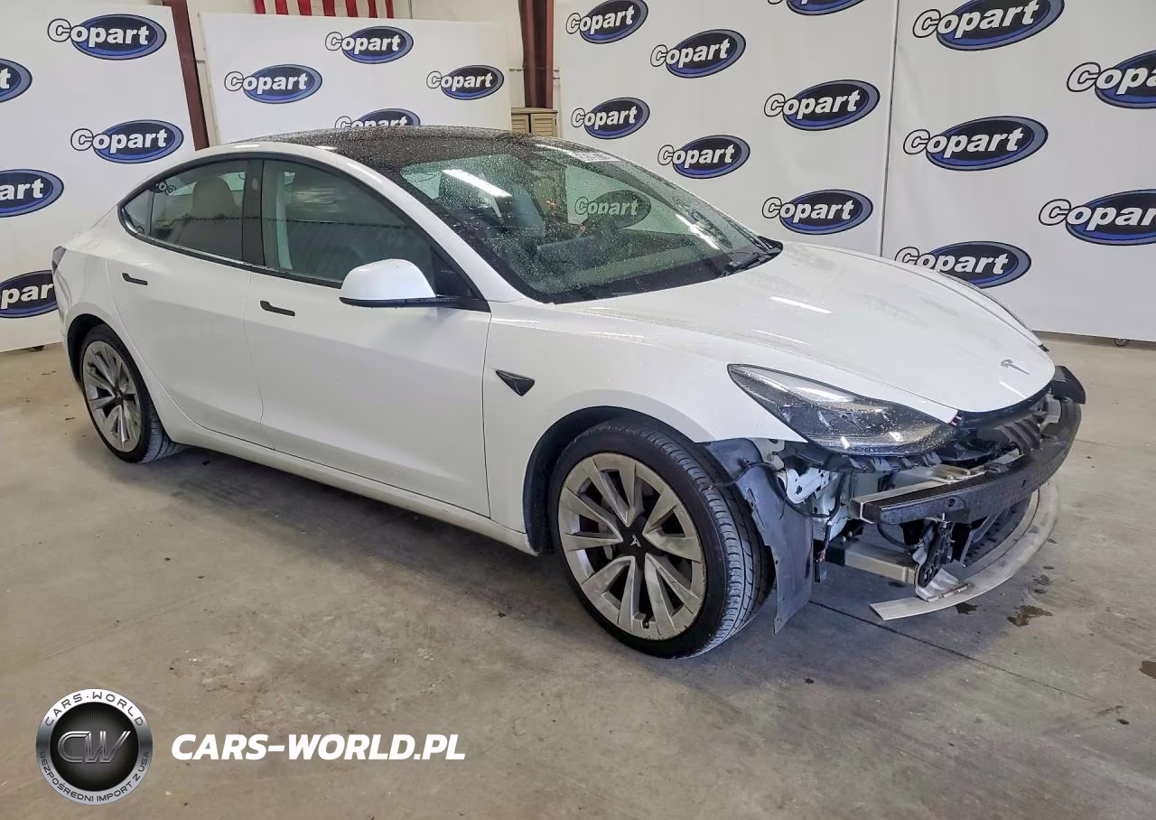 2022 Tesla Model 3 VIN:5YJ3E1EA1NF289873 - 4