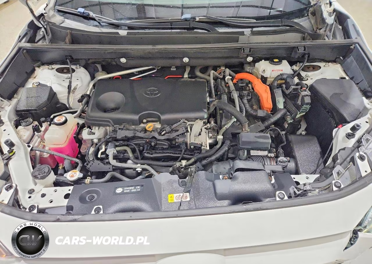 2019 Toyota Rav4 Le VIN:2T3MWRFV9KW016963 - 12