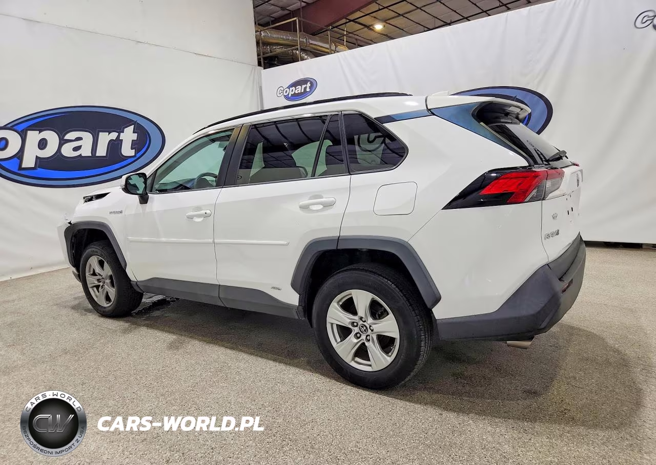 2019 Toyota Rav4 Le VIN:2T3MWRFV9KW016963 - 2