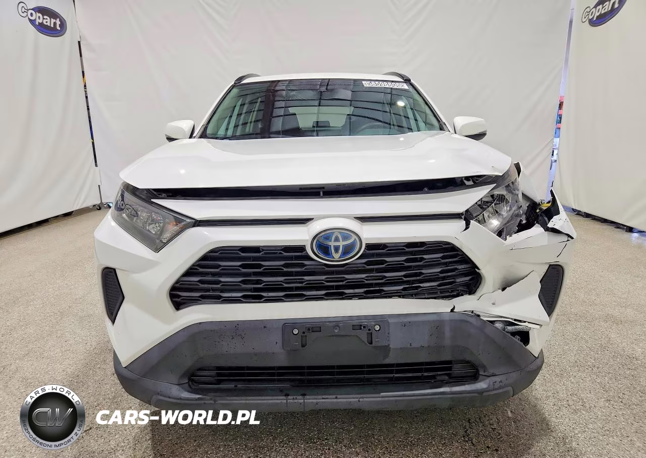 2019 Toyota Rav4 Le VIN:2T3MWRFV9KW016963 - 5